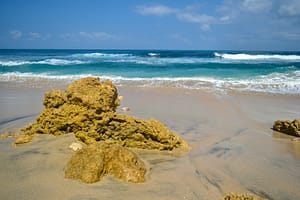 Pesona Pantai Gemah Tulungagung yang Selalu Bikin Kangen